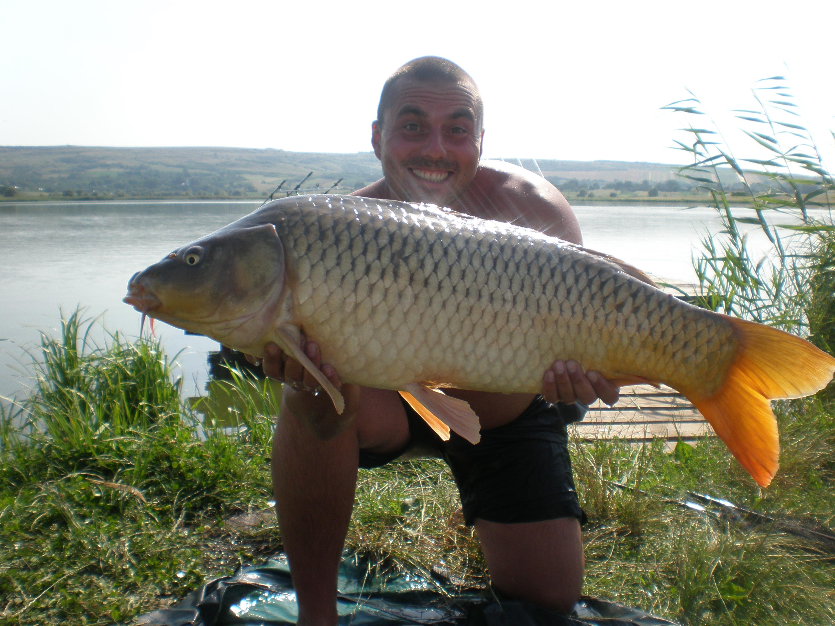ccarp - P7250457.JPG